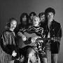 Crosby Stills Nash and Young
