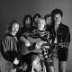 Crosby Stills Nash and Young