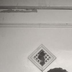 Foto de Nativistas Bastiatos