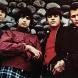 The Standells
