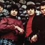 The Standells