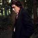 Alain Bashung