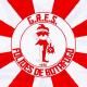 G.R.E.S Foliões de Botafogo