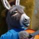 Burrolino