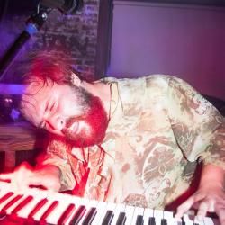 Foto de Arnoldo´s Lizards