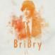 Bribry