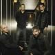 The Pineapple Thief