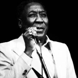Foto de Muddy Waters