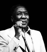 Muddy Waters