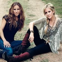 Foto de Court Yard Hounds