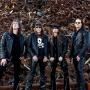 Gamma Ray
