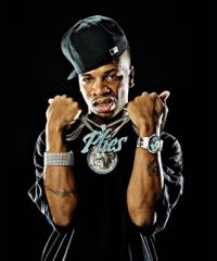 Plies