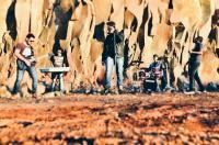 Banda Gideon