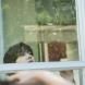 KYUHYUN