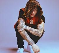 CC FREESTYLE