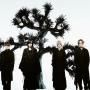 Plastic Tree