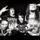 Maximum The Hormone