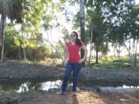 Divino Companheiro