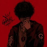 Gaaiki