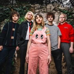 Foto de Axolotes Mexicanos