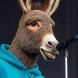 Burrolino