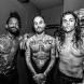 FEVER 333