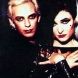 Siouxsie And The Banshees