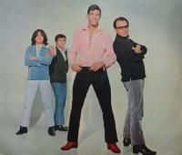 Exaltação à Mangueira