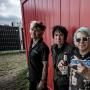 UK Subs