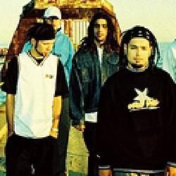 Foto de After Feed-back