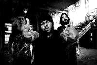 Knowledge into Wisdom