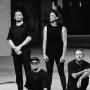 Architects