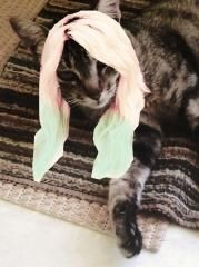 Purpurina