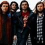 The Amazons