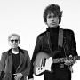 The Kooks