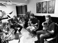 Banda Strauss