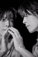Beautiful Liar