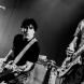 The Chameleons