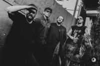 Os Surfistas do Vinil