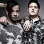 Cancer Bats
