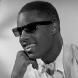Stevie Wonder