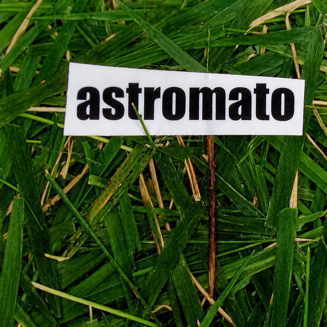 Astromato
