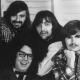 The Turtles