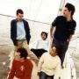 The Avalanches