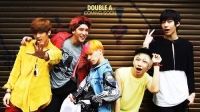 Double A (AA)