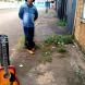 Pedro Fonseca
