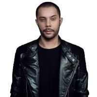 Wildstylez