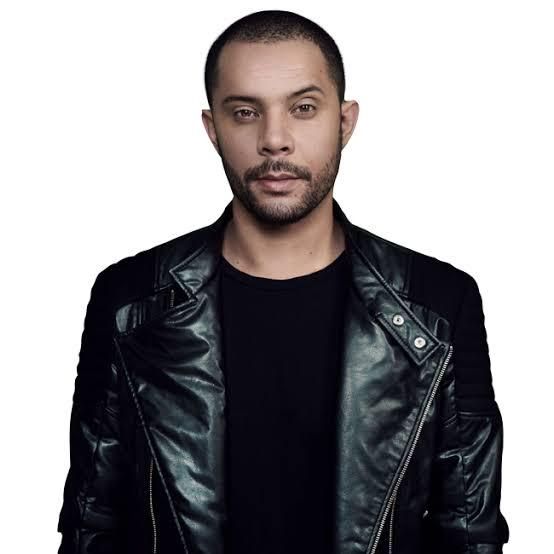 Wildstylez
