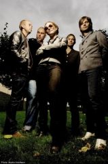 The Cardigans