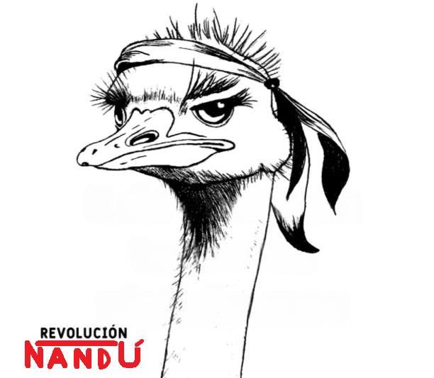 Revolución Ñandú